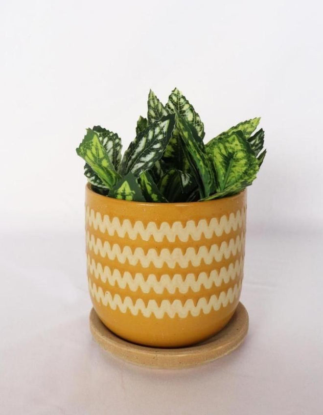 Planter Onyz with Saucer Mustard and Sand