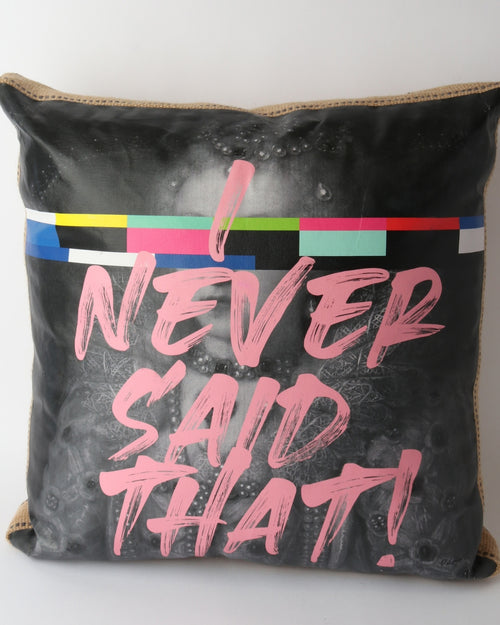 Art Cushion I Never Said That