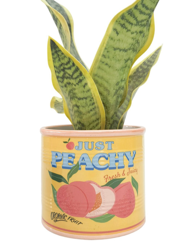 Just Peachy Can Planter