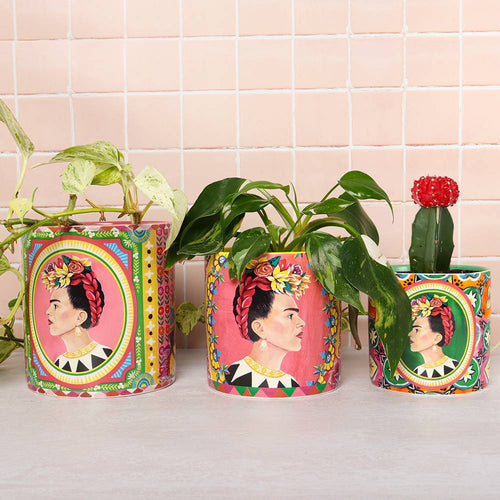 Viva La Vida Pot Planter Small