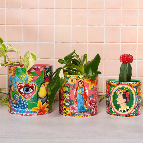 Viva La Vida Pot Planter Small