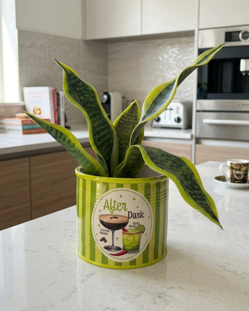 Spritz After Dark Planter Green 12cm