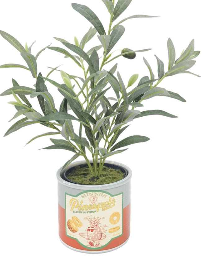 Sunnies Pineapple Can Planter