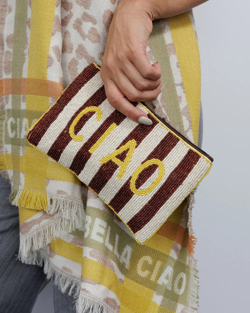 Zoda Beaded Clutch Purse Brown Stripe Ciao