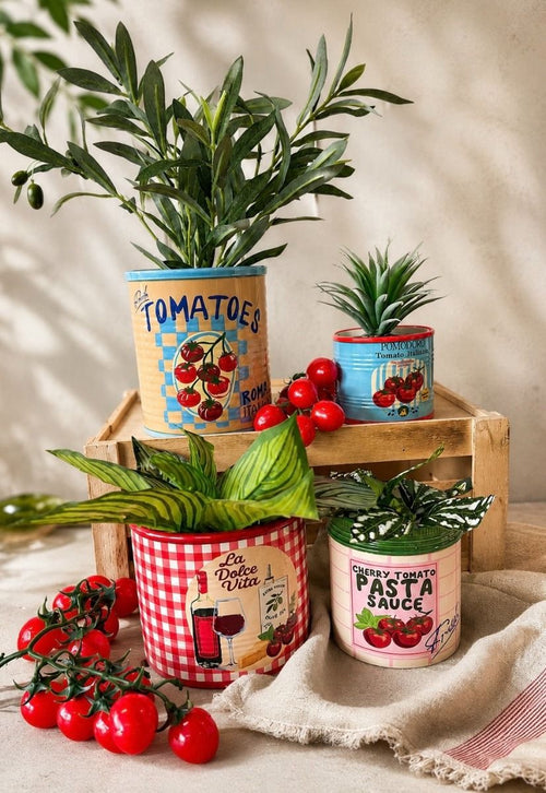 Pasta Sauce Planter Red & Pink 11.5cm