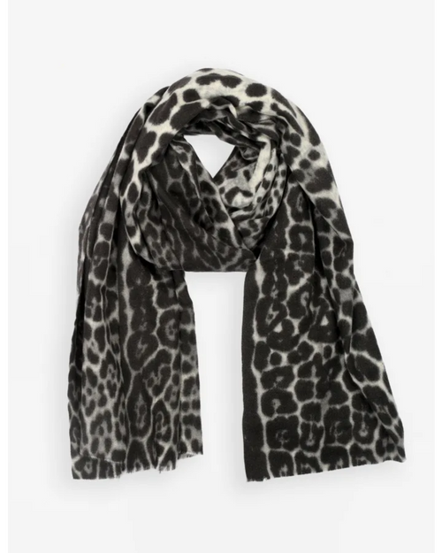 Stella and Gemma Scarf Black Leopard